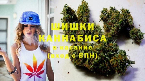 сатива Балабаново