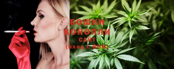 сатива Балабаново