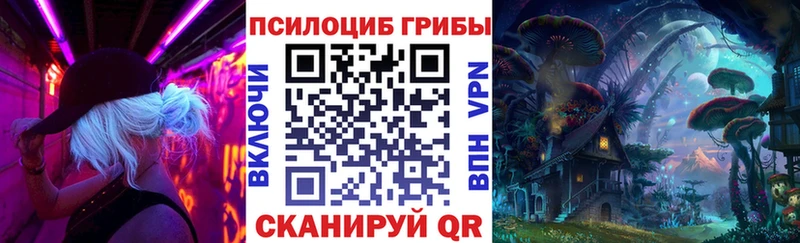 магазин продажи   kraken вход  Псилоцибиновые грибы MAGIC MUSHROOMS  Буинск 